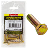 Champion Hex Screw Set HT M10 x 35 x 1.25mm 6Pk C480-14