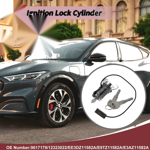 Ford Mustang Ignition Lock Cylinder (2005-2014)