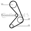 Contitech Timing Belt CT750
