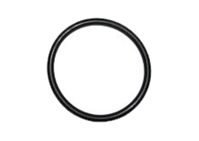 Dayco Thermostat Seal DTG79