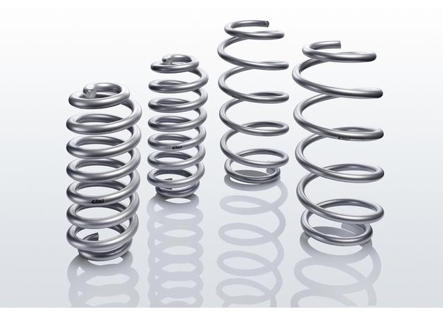 Eibach Pro Lift Kit Springs fits Land Rover Discovery