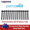 Ford Territory SX SY Barra 4.0L Permaseal Head Bolt Set