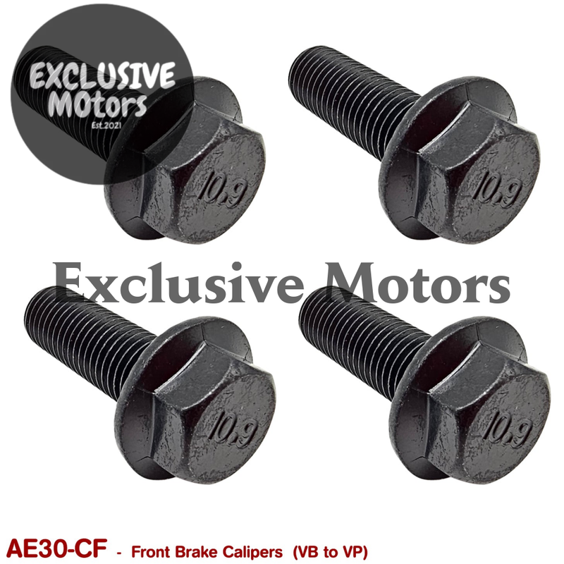 Holden Commodore VB-VP Front Brake Caliper Fasteners (1978-1993)