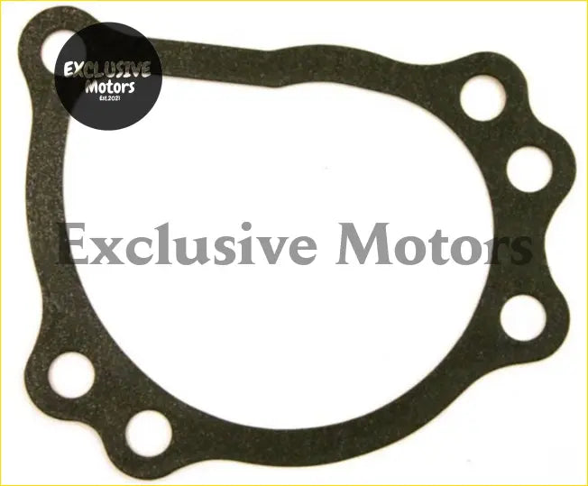 Genuine water pump gasket made of black rubber with a circular shape and multiple evenly spaced holes