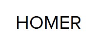 Homer Fuel Filter WZ91/92