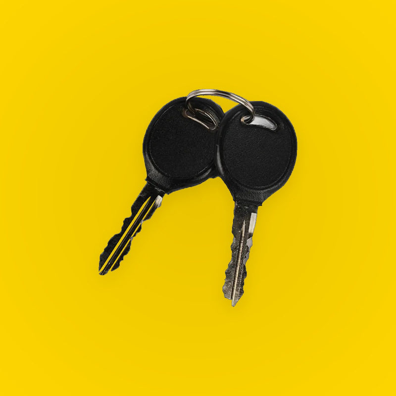 Ignition Switch Cylinder for Dodge Dakota Durango Ram Pickup Truck Van With Key