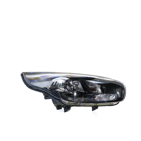 APG All Crash Halogen Head Lamp Drivers Side OEM Suits