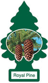 Little Trees Car Air Freshener Royal Pine 1 Pack