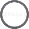 Kelpro Oil Seal OEM 97646G