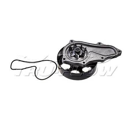 Tru-Flow Water Pump TF8591