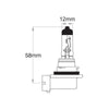 OEX H11 Globe 12V 55W PGJ19-2 GLX10115