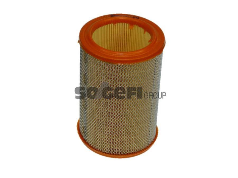 Purflux Air Filter A197