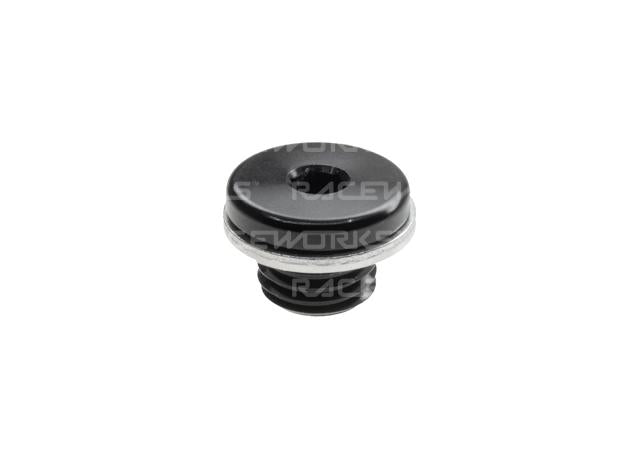 Raceworks M10x1.0 In-Hex Plug W/ Washer
