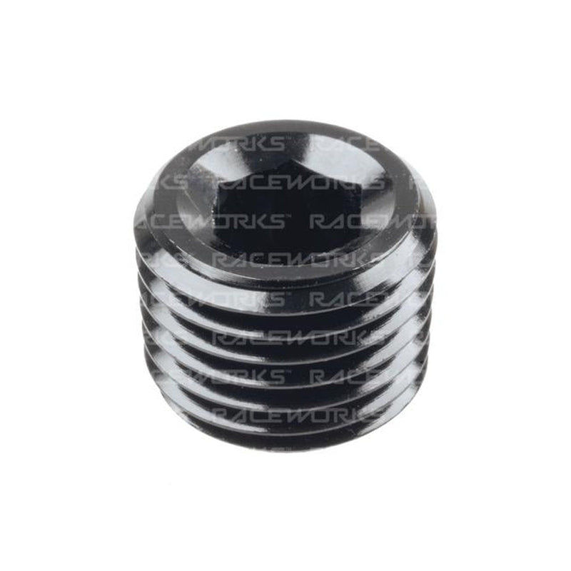 Raceworks Npt Plug 1/4