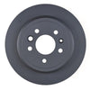 RDA OE Replacement Brake Rotor Single 303mm Rear RDA505