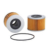 Ryco Oil Filter R2070P