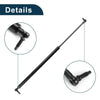 Dodge Caravan Rear Hatch Lift Supports (2011-2020)