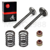 Club Car DS Precedent FE290 Intake/Exhaust Valve Replacement (1992–2023)
