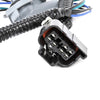 Cadillac Escalade, Chevy Suburban Tail Light Wiring Harness (2002-2006)