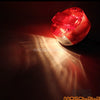 MZ ETZ 150 250 251 Tail Light Filaments (1980-1990)