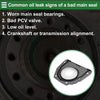 Ford Escape 2017-2019 Crankshaft Oil Seal (1 Pc)
