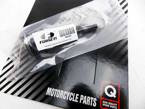Kawasaki KZ900 Police Exhaust Valve (1976)