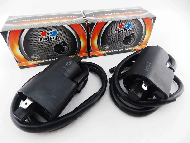 Suzuki GSF1200 Bandit Ignition Coil Assembly (1996-2005)