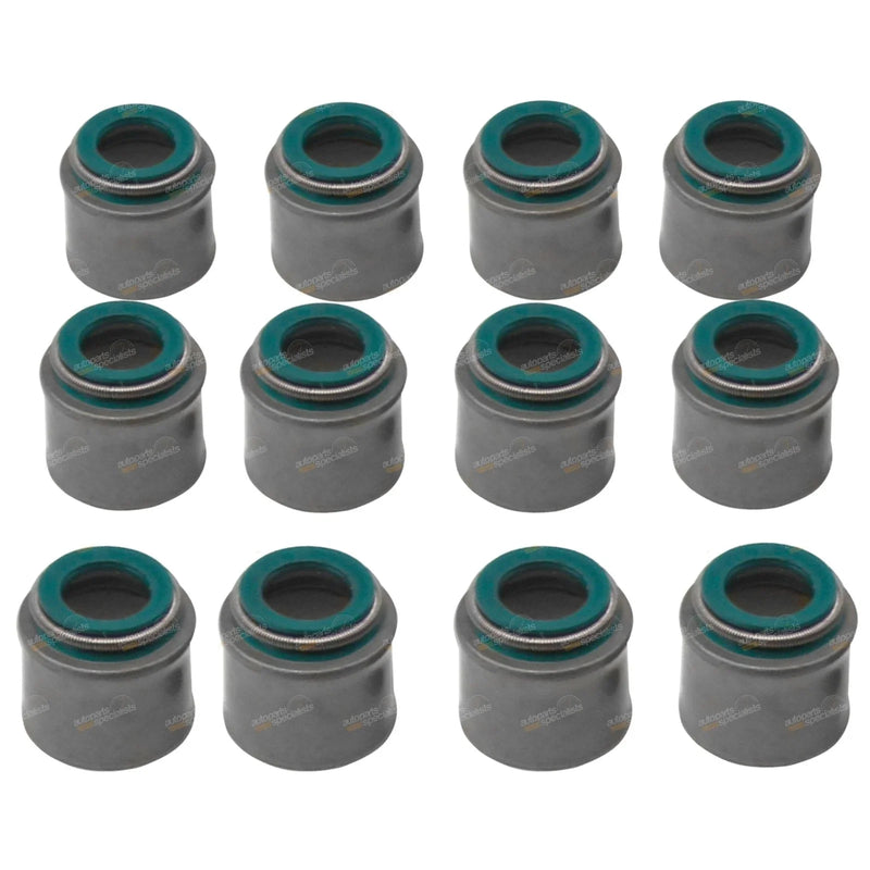 Patrol GQ GU Inlet & Exhaust Valve Stem Seal Set 4.2L 6cyl (1988 - 2006)