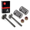 Club Car DS Precedent FE290 Intake/Exhaust Valve Replacement (1992–2023)