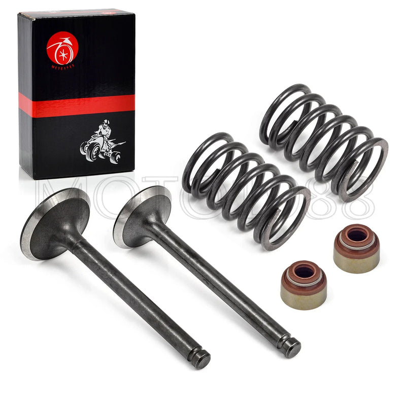 Club Car DS Precedent FE290 Intake/Exhaust Valve Replacement (1992–2023)