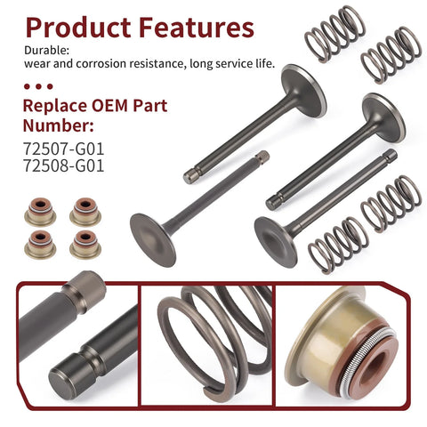 EZGO Gas Golf Cart Intake Exhaust Valve Kit & Seals Spring (1996–2026)