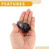 Toyota - 1 Set Temperature Sensor Connector Plug