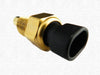 Holden Jackaroo Coolant Temperature Sensor (1998-2003)