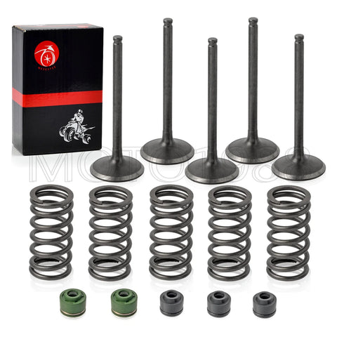 YAMAHA YFZ450R Intake Exhaust Valve & seal Spring (2009–2013)