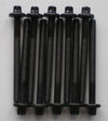 Renault Clio Kangoo Twingo 8V 1.2 D7F 1.0 D7D CYLINDER HEAD BOLTS