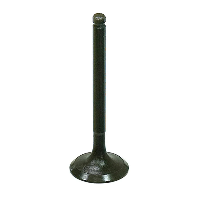 Yamaha Raptor 110 & Grizzly 110 Engine Intake Valve (2024–2025)