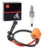 Suzuki King Quad 700 / 750 LTA700X / LTA750X 4x4 Ignition Coil & Spark Plug