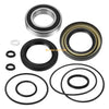 Honda TRX300FW Rear Brake Drum Bearing (1988–2000)