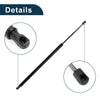 Chrysler Town & Country Rear Hatch Lift Supports Struts (2008-2016)