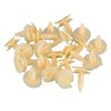 GM 3065575 100Pcs Door Trim Panel Retainer Clips (1978-2023)
