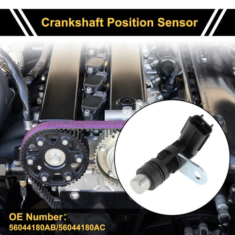 Dodge Ram 1500 Pickup 3.7 Crankshaft Position Sensor (2001 - 2008)
