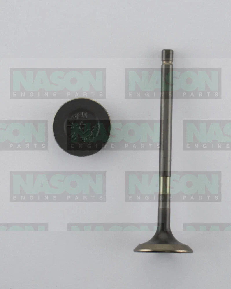 Toyota Hilux N80 GDJ150 1GD 1GDFTV 8 x Exhaust Valve (2015–ON)