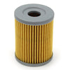 Arctic Cat ATV 250 / 300 2x4 4x4 Oil Filter (1998-2005)
