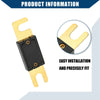 Car, Motorcycle, Boat - Gold Tone, Black 3 x Mini ANL 175A Fuses