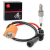 Suzuki King Quad 700 / 750 LTA700X / LTA750X 4x4 Ignition Coil & Spark Plug