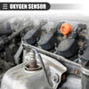 Honda Accord EX, LX Oxygen Sensor (2003)