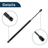 Ford Focus Hatchback Rear Hatch Lift Supports (2003-2007)