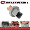 Toyota 4Runner Tail Light Socket (2003-2009)