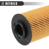 Kia Sedona Engine Oil Filters Set (2008-2010)