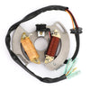 Yamaha Blaster YFS200 ATV Stator (1990-2002)